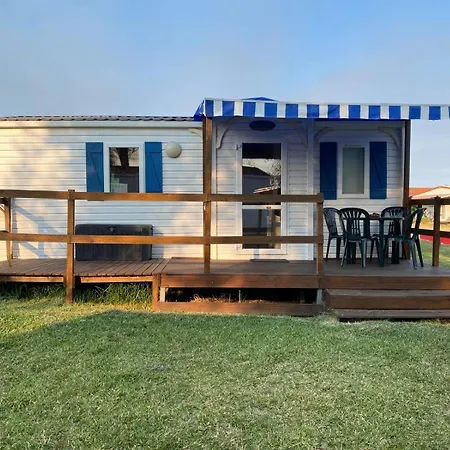 Camping Atlantic Shell *