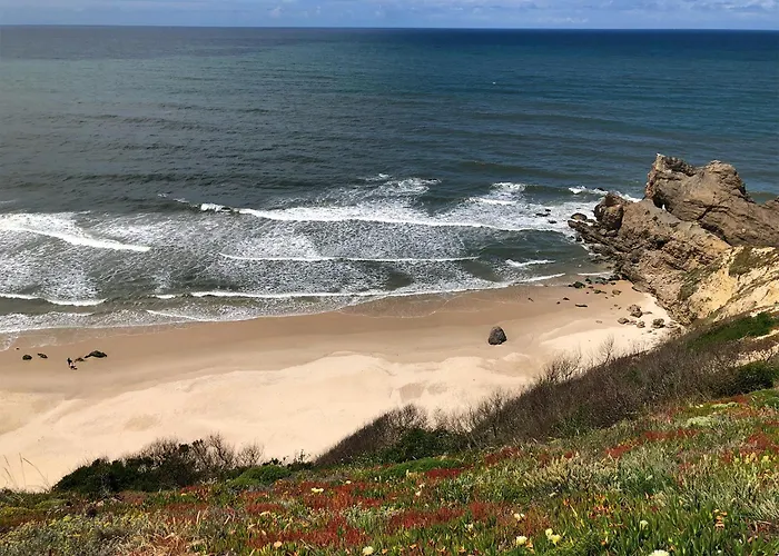 Atlantic Shell * Pataias