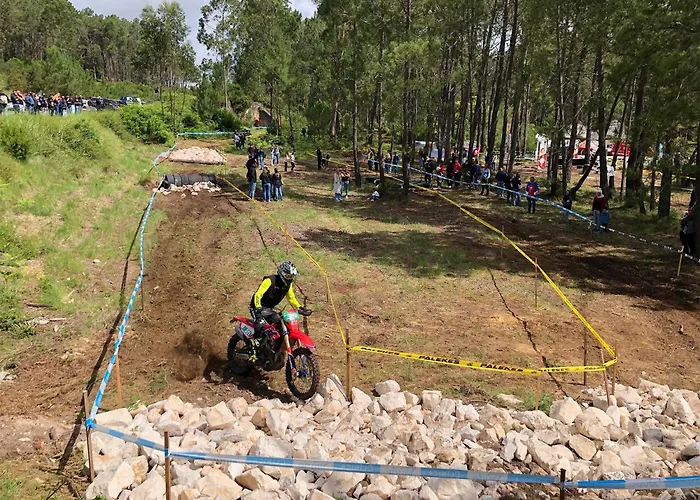 Camping Atlantic Shell *